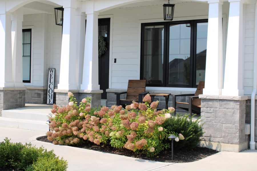 Canterbury Newcastle Grey